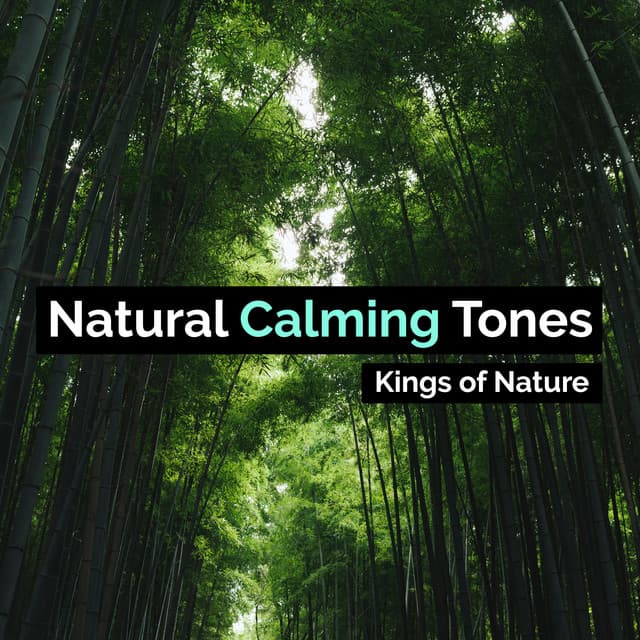 Natural Calming Tones - Kings of Nature
