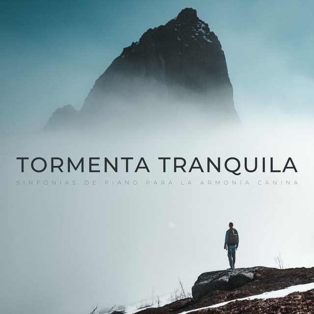 Tormenta Tranquila: Sinfonías De Piano Para La Armonía Canina - Relajante Universo de Música de Piano