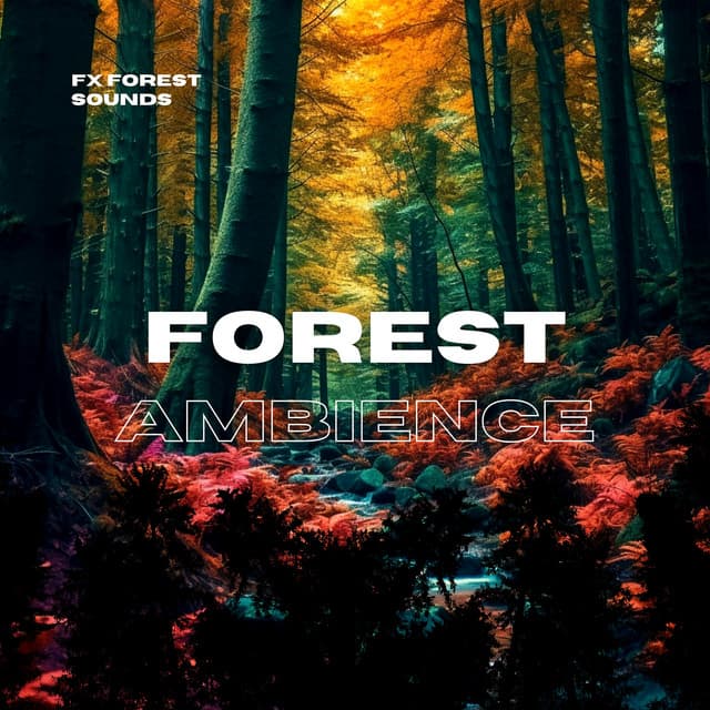 Forest Ambience Nature Sounds - FX Forest Sounds