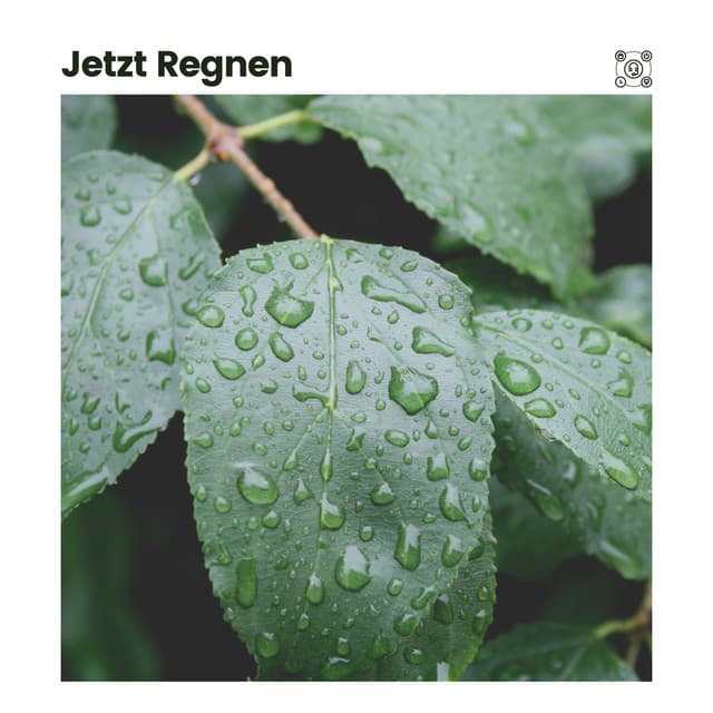 Jetzt Regnen - Regengeräusche