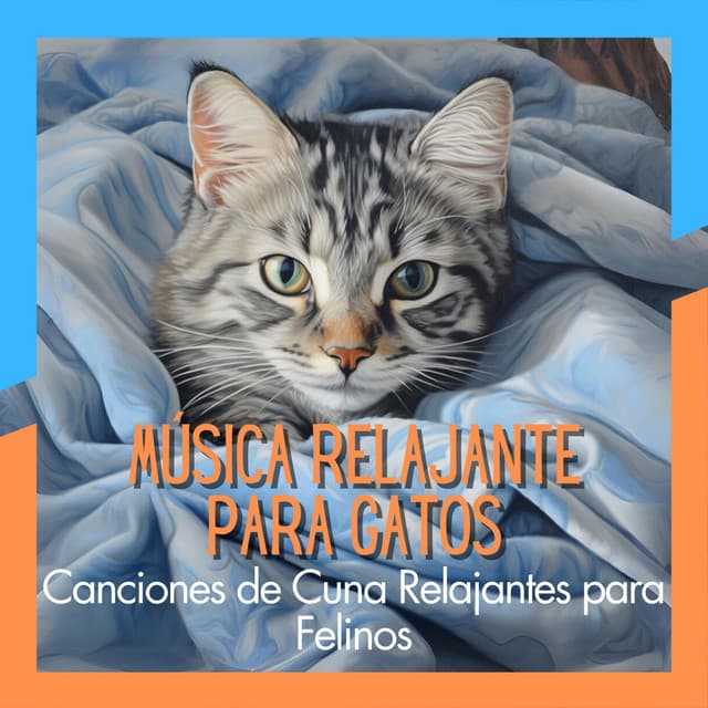 Música Relajante para Gatos - Canciones de Cuna Relajantes para Felinos - Relax My Cat