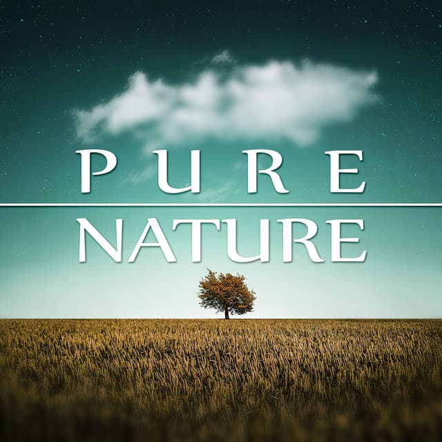 Pure Nature – Natural Harmony, Waves, Calm Music for Yoga, Massage Sounds, Spa Therapy, Nature Sounds, New Age - Awesome Nature Sounds Ensemble