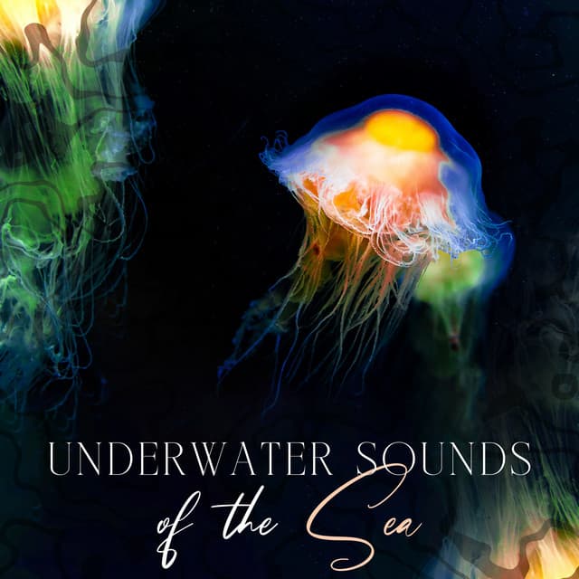 Underwater Sounds of the Sea - Norian Guldmaen