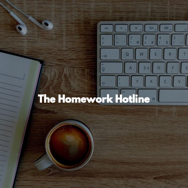 The Homework Hotline - Hotel Lobby Jazz Music