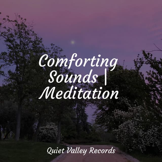 Comforting Sounds | Meditation - Relaxed Minds