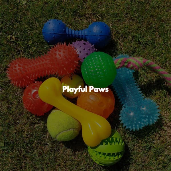 Playful Paws - Lounge Smooth Jazz Deluxe