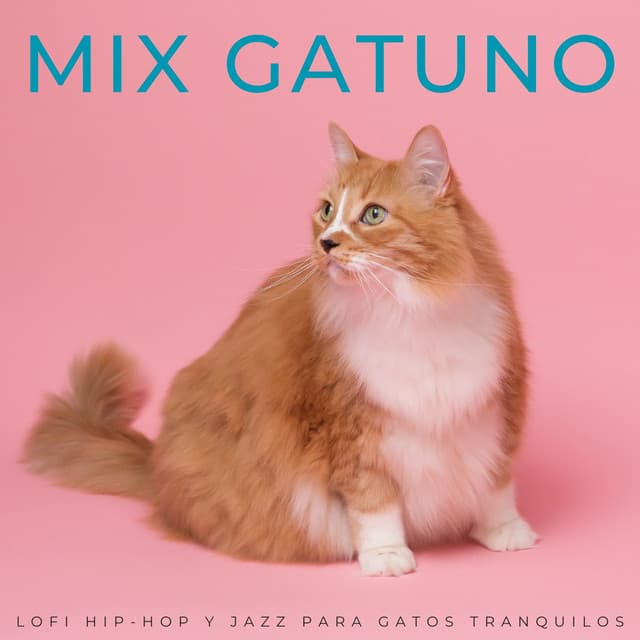 Mix Gatuno: Lofi Hip-Hop Y Jazz Para Gatos Tranquilos - Música Ambiente