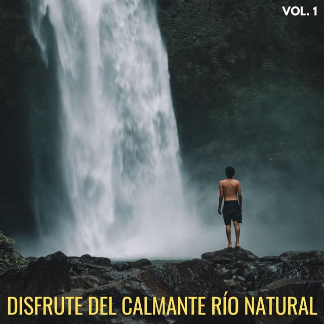 Disfrute Del Calmante Río Natural Vol. 1 - Rios y corrientes