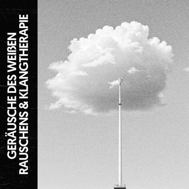 Weißen Rauschens & Klangtherapie: Harmonie im Chaos - Cat Music Therapy