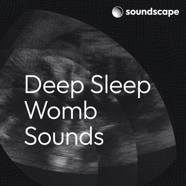 Deep Sleep Womb Sounds - Mother Nature FX
