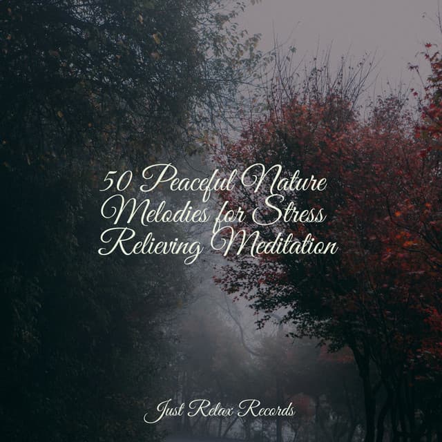 50 Peaceful Nature Melodies for Stress Relieving Meditation - Bird Sounds