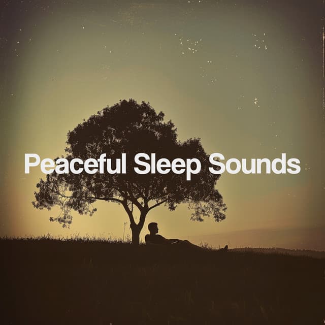 Peaceful Sleep Sounds - Nature Sounds Nature Music