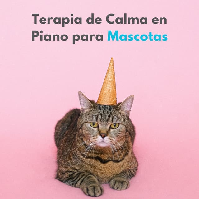 Terapia De Calma En Piano Para Mascotas - Relajante Universo de Música de Piano