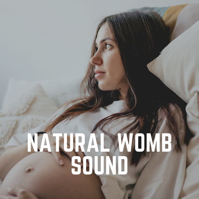 Natural Womb Sound - Womb Sound