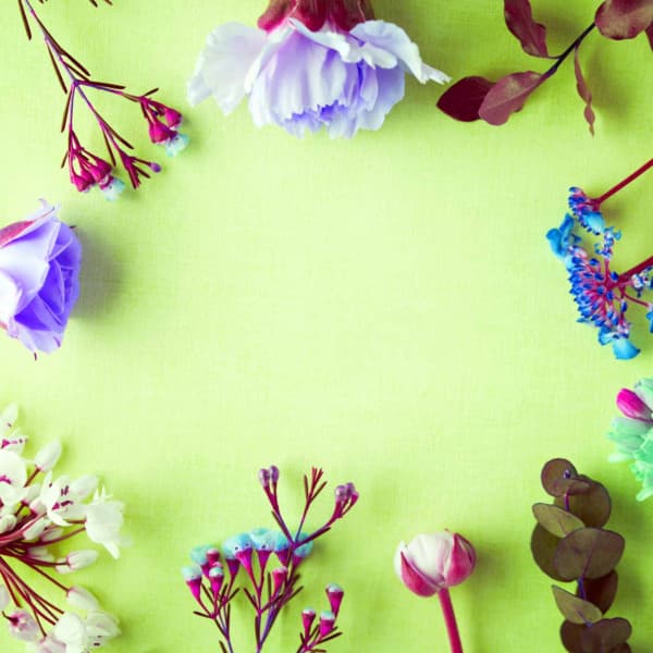 High-class Music for Cinematic Melody - Piano Bossa Nova Duo - Jazz and Chill