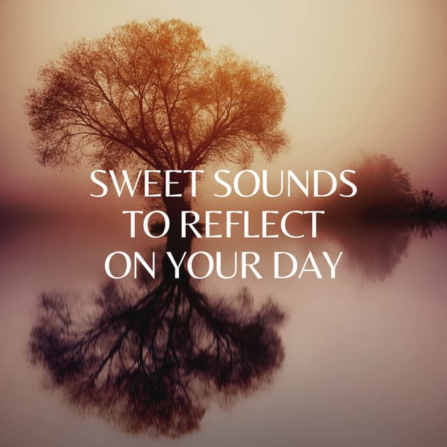 Sweet Sounds to Reflect on Your Day - Focusity
