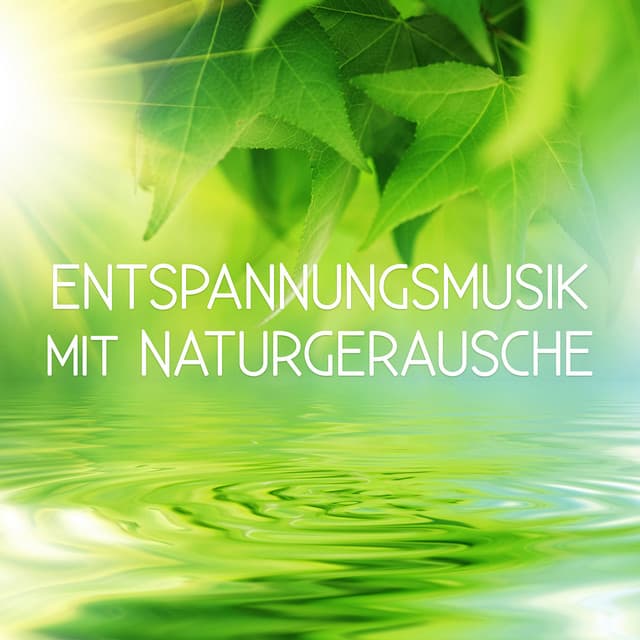 Entspannungsmusik mit Naturgeräusche - Erholung Musik, Entspannung für Herz, Wellness Musik , Musik für Konzentration, Musik für Meditation, Therapie Musik, Gelassenheit - Wellness Entspannung Akademie
