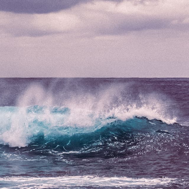 1 Coastal Night: Sleep Serenade of the Sea - Ocean Sounds