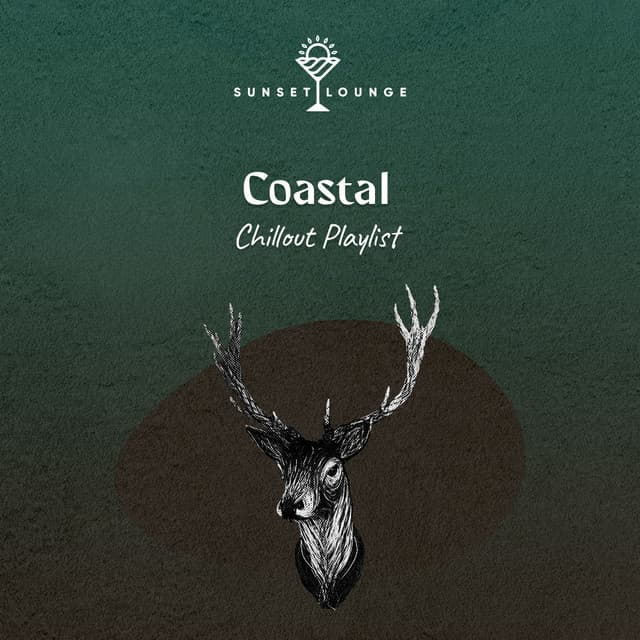 Coastal Chillout Playlist - Palm Analogue