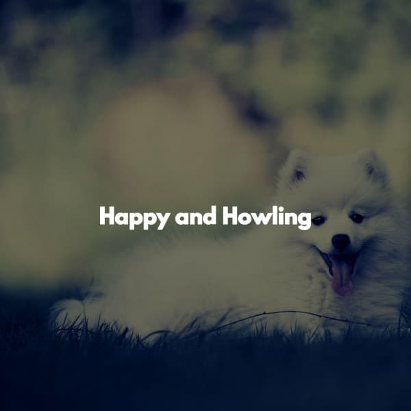 Happy and Howling - Weekend Jazz Chillout