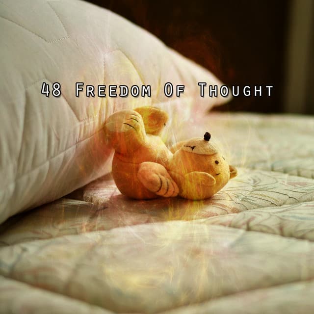 48 Freedom Of Thought - Sleep Music System