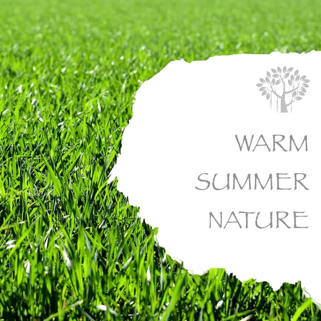 Warm Summer Nature - Natural Spirit