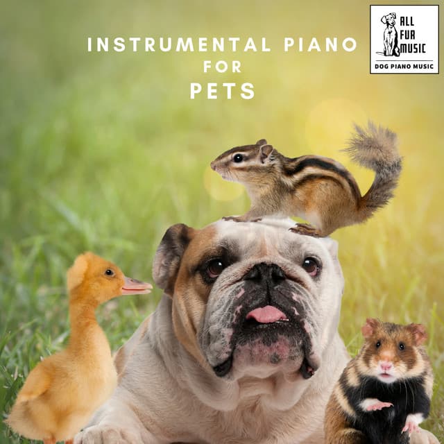 Instrumental Piano For Pets - Jingle Cats