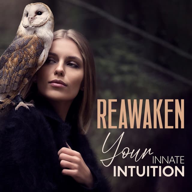 Reawaken Your Innate Intuition: Soothing Meditative Music - Serenity Music Zone