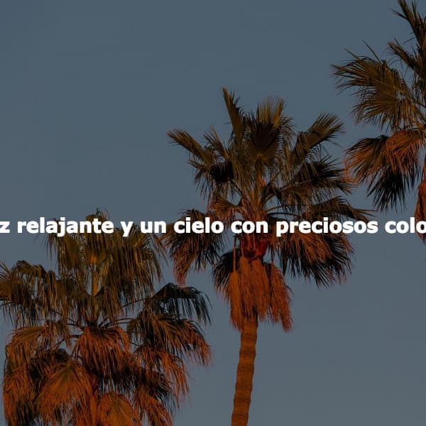 Jazz relajante y un cielo con preciosos colores - Chill Lounge