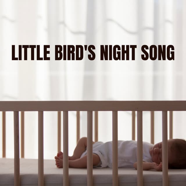 Little Bird's Night Song - Newborn Sleep Music Lullabies