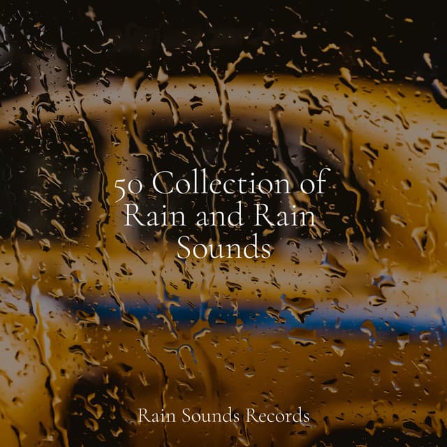 50 Collection of Rain and Rain Sounds - Rain For Deep Sleep