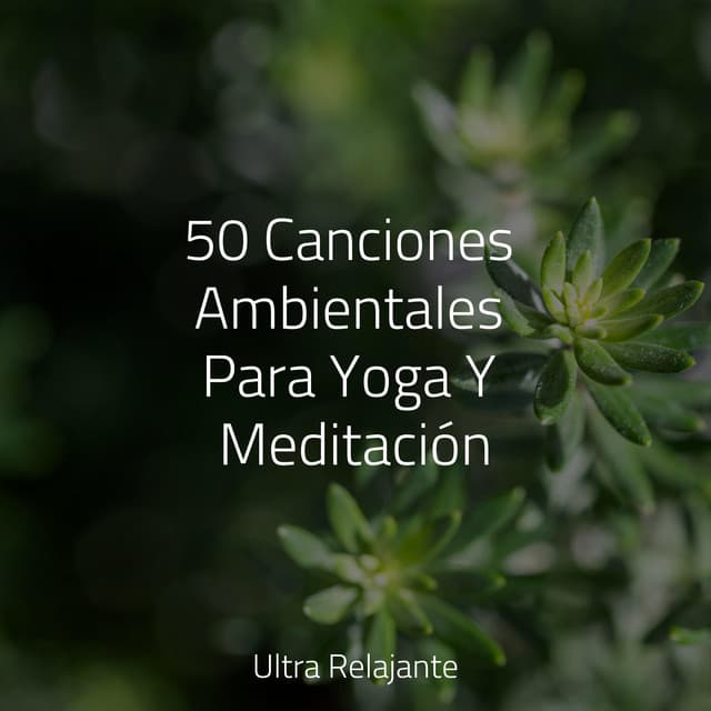 50 Canciones Ambientales Para Yoga Y Meditación - Dormir Sol