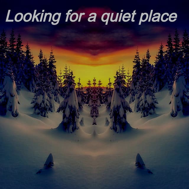 Looking for a Quiet Place - Lofi Radiance