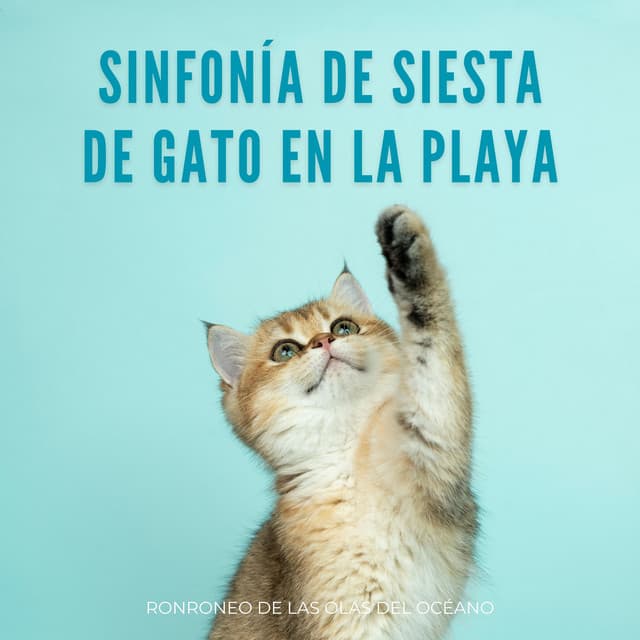 Sinfonía De Siesta De Gato En La Playa: Ronroneo De Las Olas Del Océano - Sonidos De La Naturaleza