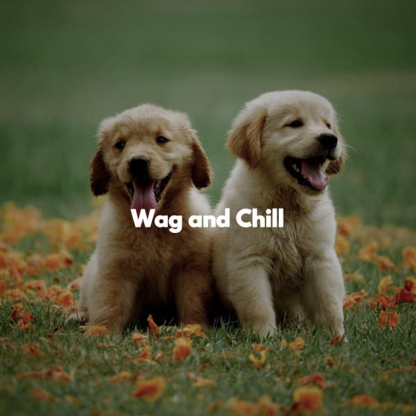 Wag and Chill - Work from Home Playlist