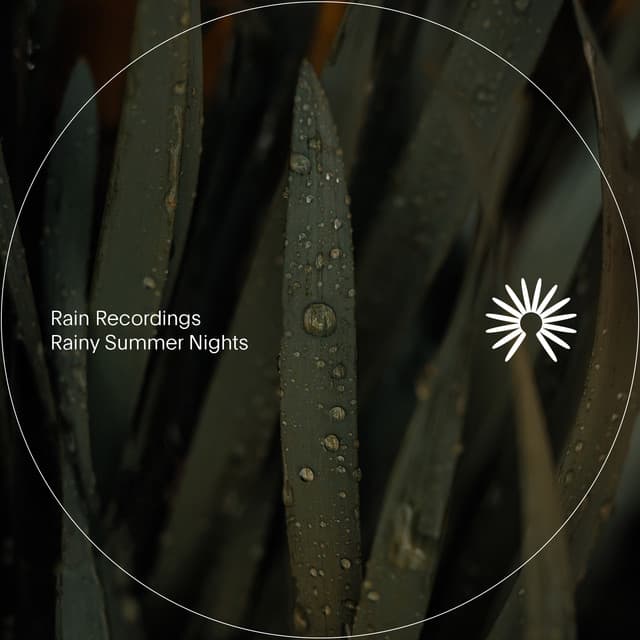 Rainy Summer Nights - Rain Recordings
