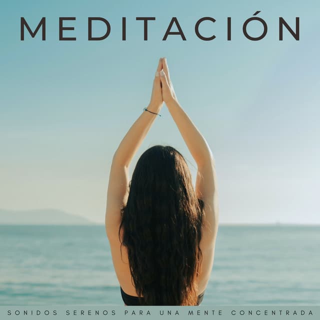 Los muchachos de enfoque y meditación