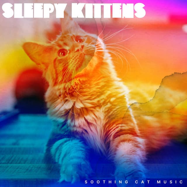 Sleepy Kittens - Soothing Cat Music