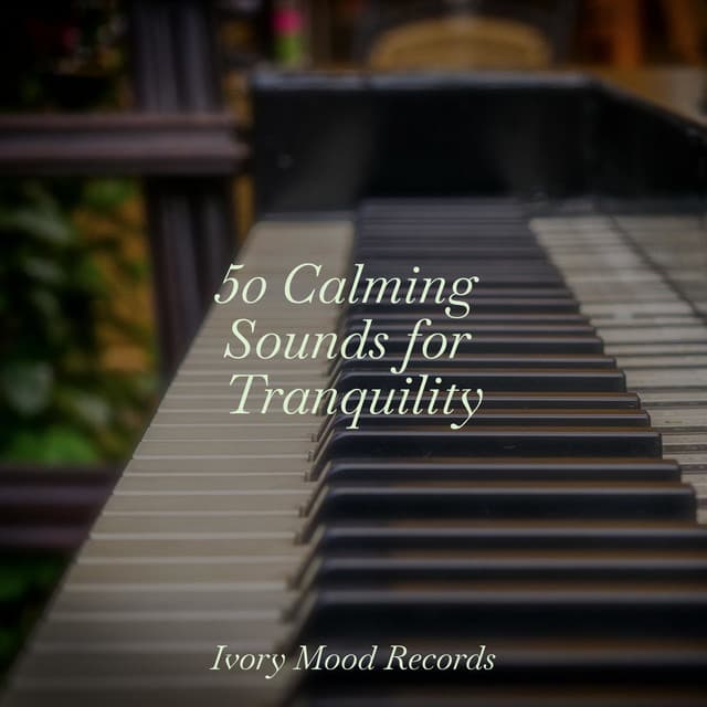 50 Calming Sounds for Tranquility - Ivory Mood