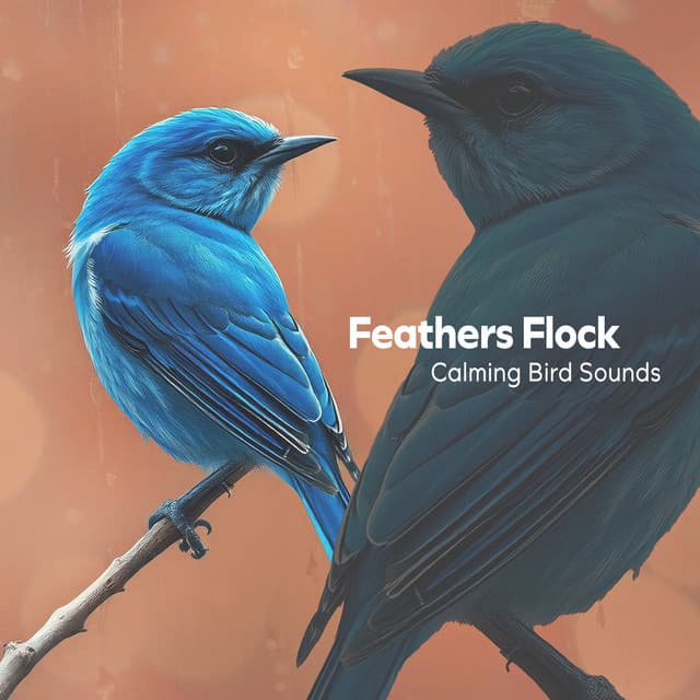 Feathers Flock - Calming Bird Sounds