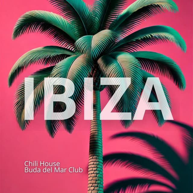 IBIZA Mix: High-Energy Anthems to Light Up the Dance Floor - Chili House