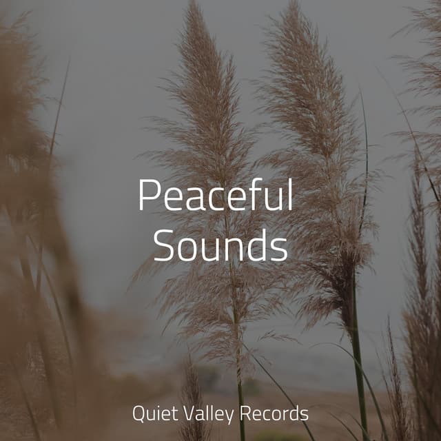 Peaceful Sounds - Musique Zen Garden