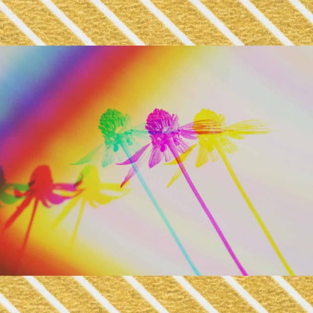 Bossa Guitars - Bgm for Lovely illusions - Fine Dining Music