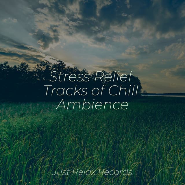 Stress Relief Tracks of Chill Ambience - Forest Sounds