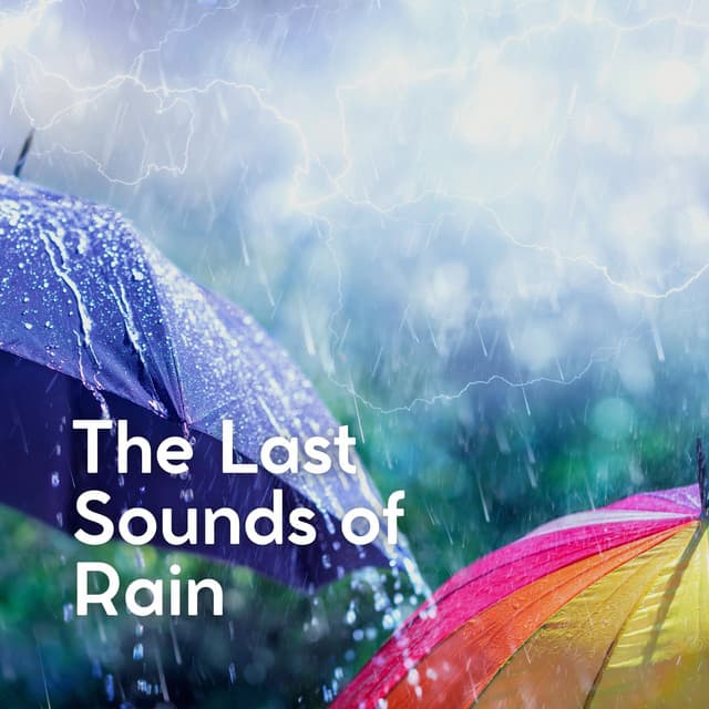 The Last Sounds of Rain - Ambient Rain