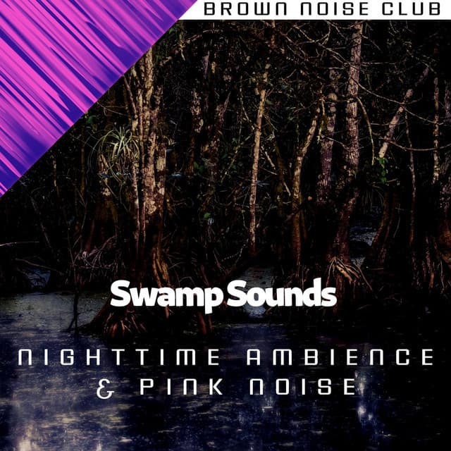 Swamp Sounds - Nighttime Ambience & Pink Noise, Loopable - Nature Sounds XLE Library