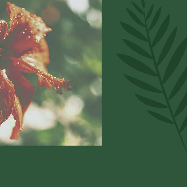 Personal Wellness - Comforting - Jazz Piano Instrumentals