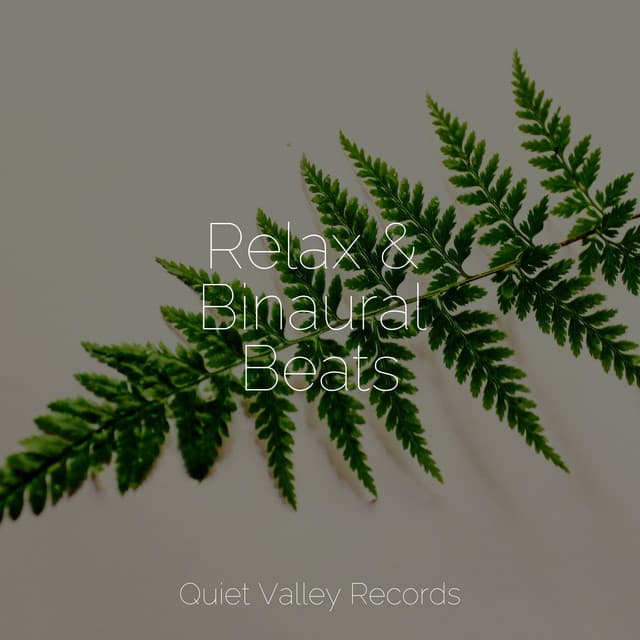 Relax & Binaural Beats - Nature Recordings