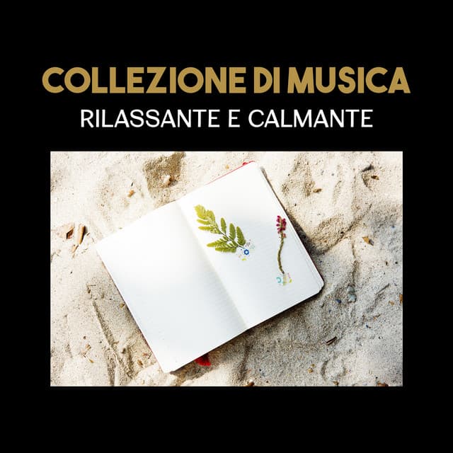 Musica tranquilla accademia