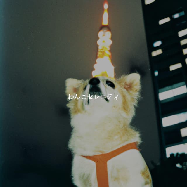 わんこセレニティ - Soft Jazz Meditation